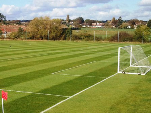 Training Ground Image